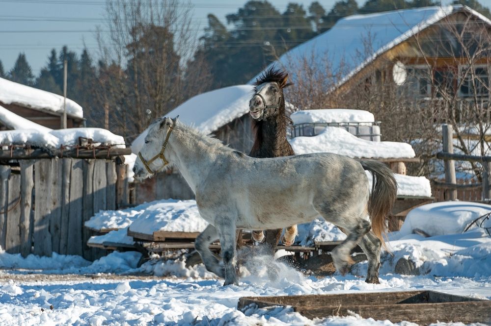 Фотография автора  Валерий