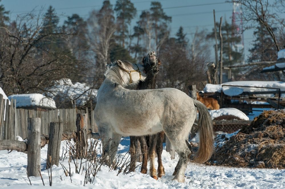 Фотография автора  Валерий