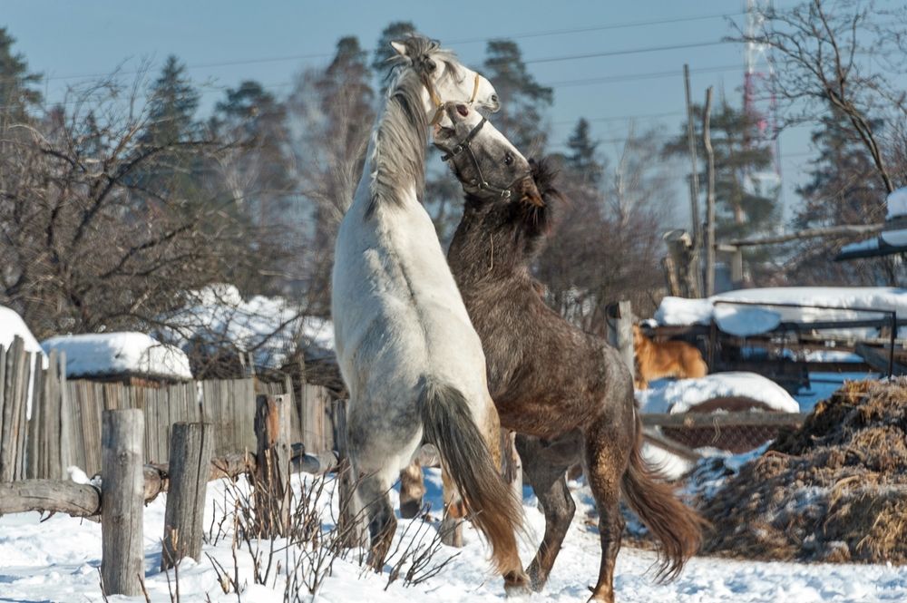 Фотография автора  Валерий