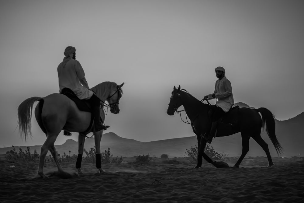 Фотография автора Sarrah Yehia