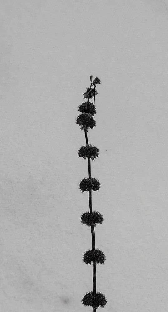 Photograph by Людмила Горячева