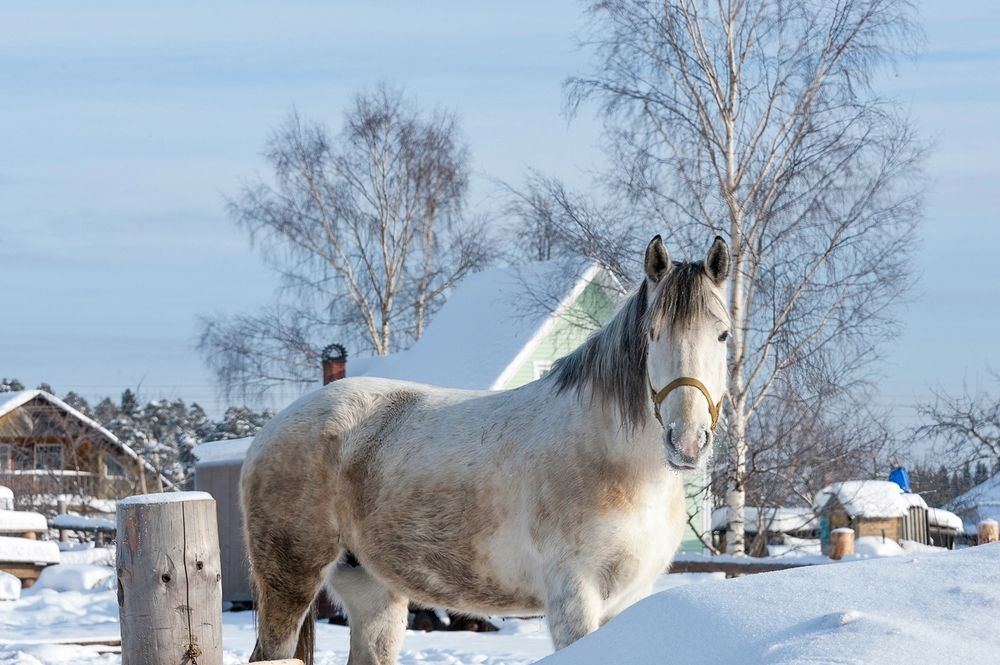 Фотография автора  Валерий