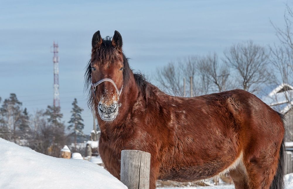 Фотография автора  Валерий
