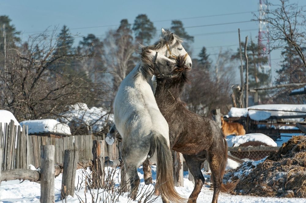 Фотография автора  Валерий