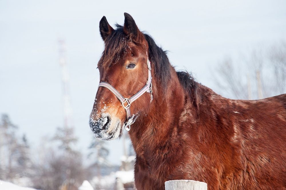 Фотография автора  Валерий