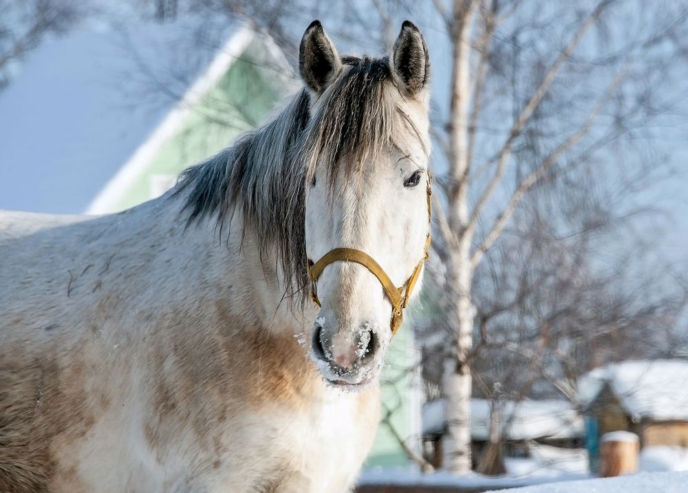 Фотография автора  Валерий