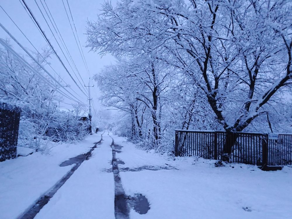 Photograph by Майя Стащенко