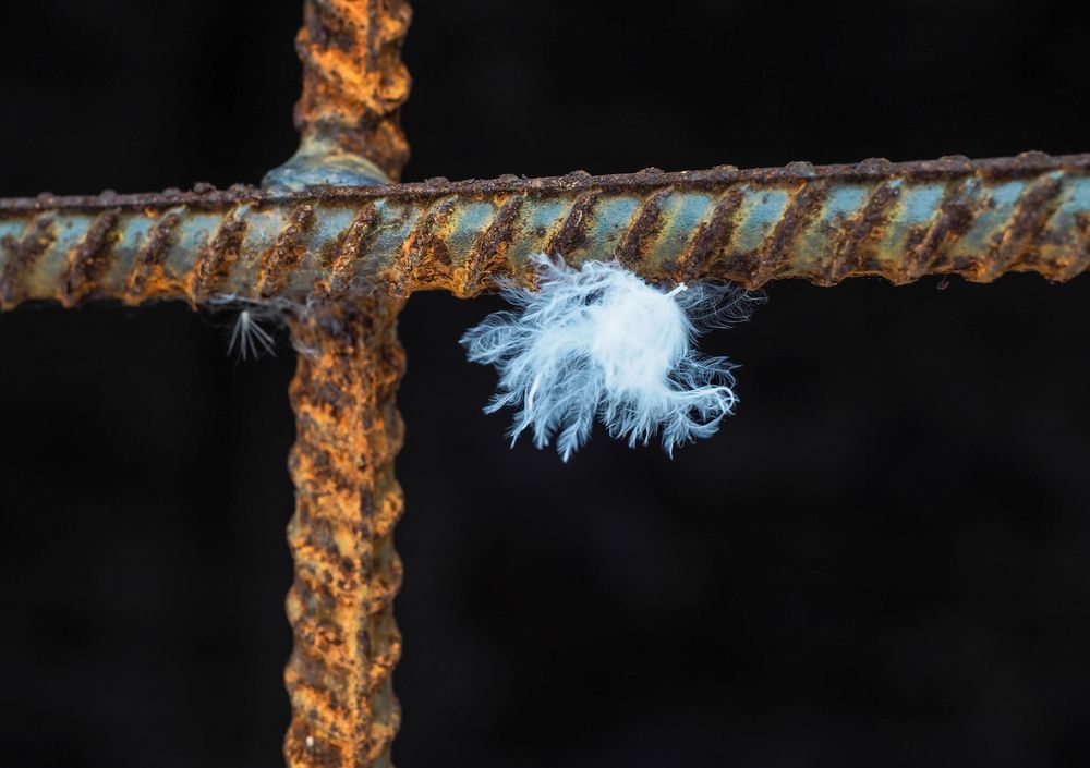 Photograph by Сергей Гаврилов