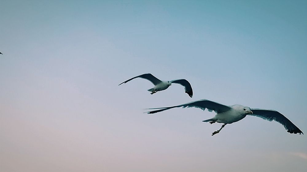 Photograph by Myrsini Charalampidou