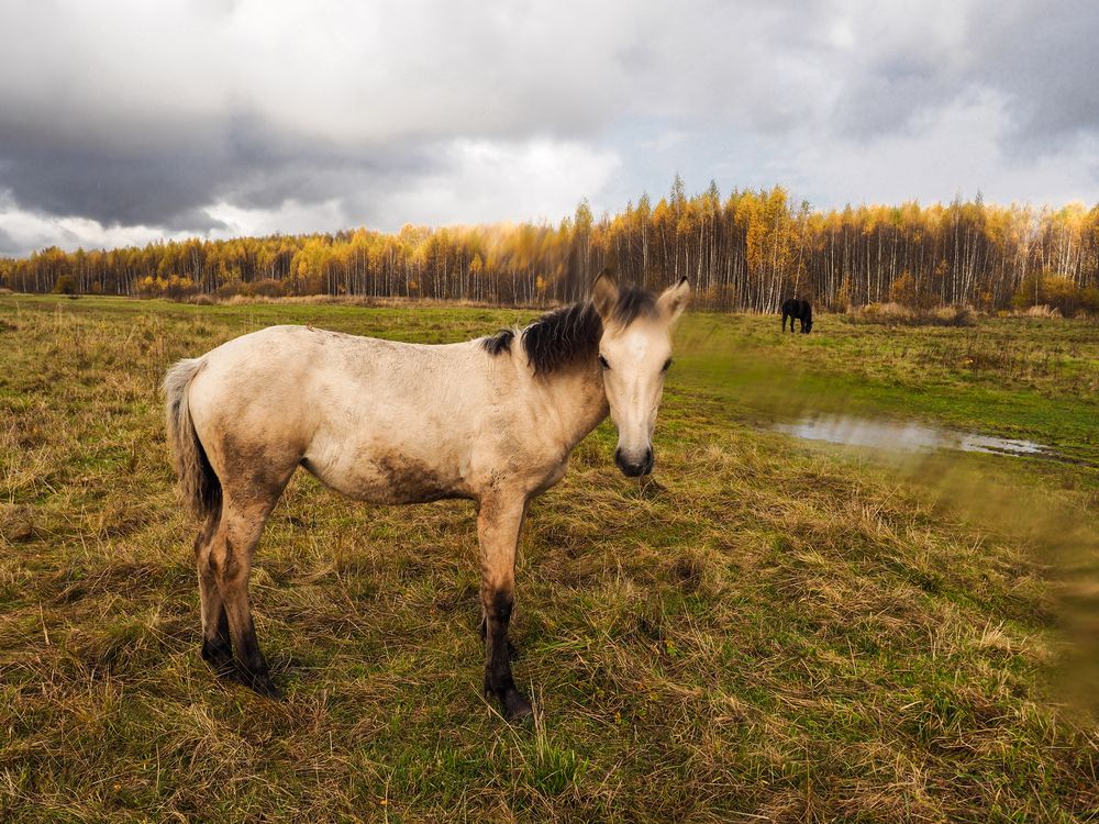 Photograph by Сергей Гаврилов