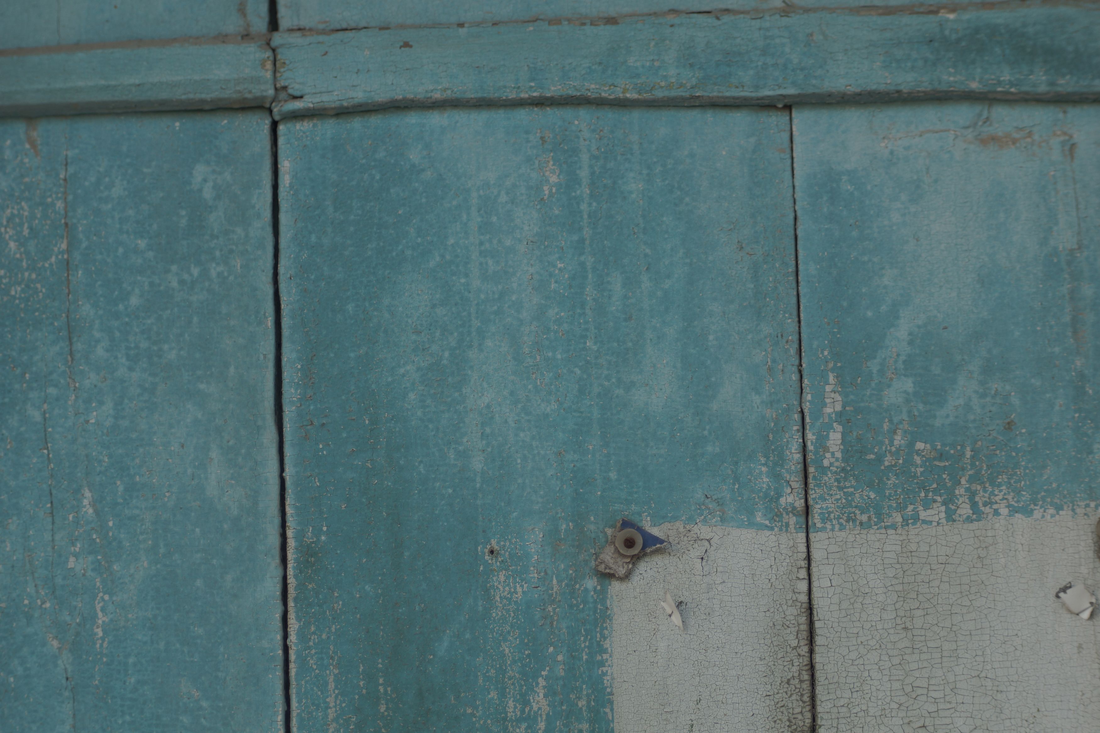 Лакмус времени