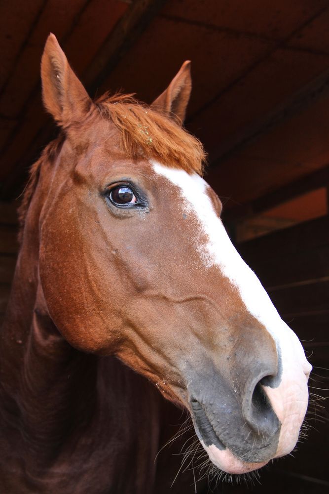 Фотография автора Наталия Мащенко