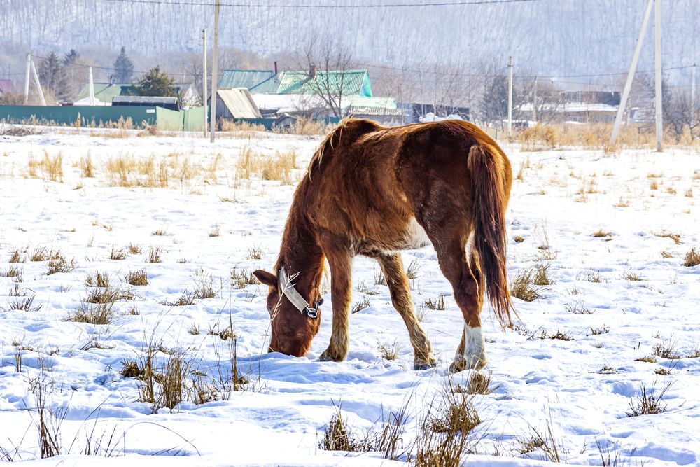 Photograph by Sergey Tsubanov