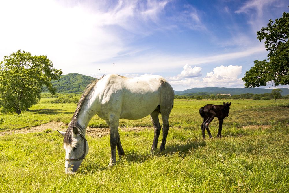 Photograph by Sergey Tsubanov