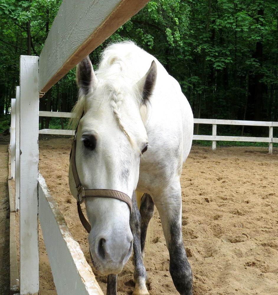 Photograph by Елена Казарина