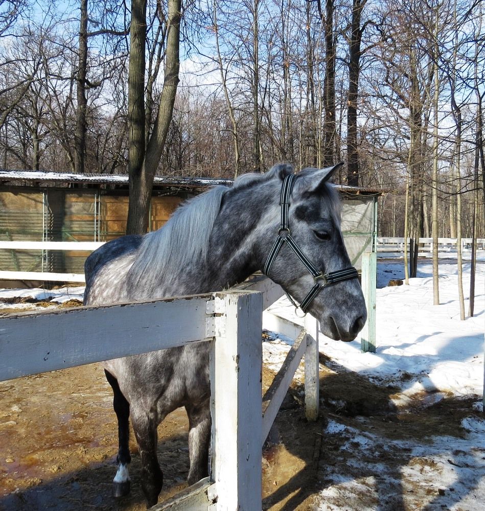 Photograph by Елена Казарина