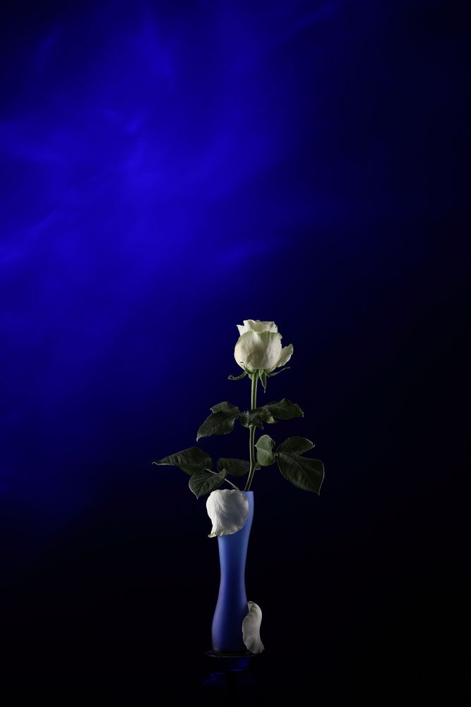 Photograph by Serge Halapin