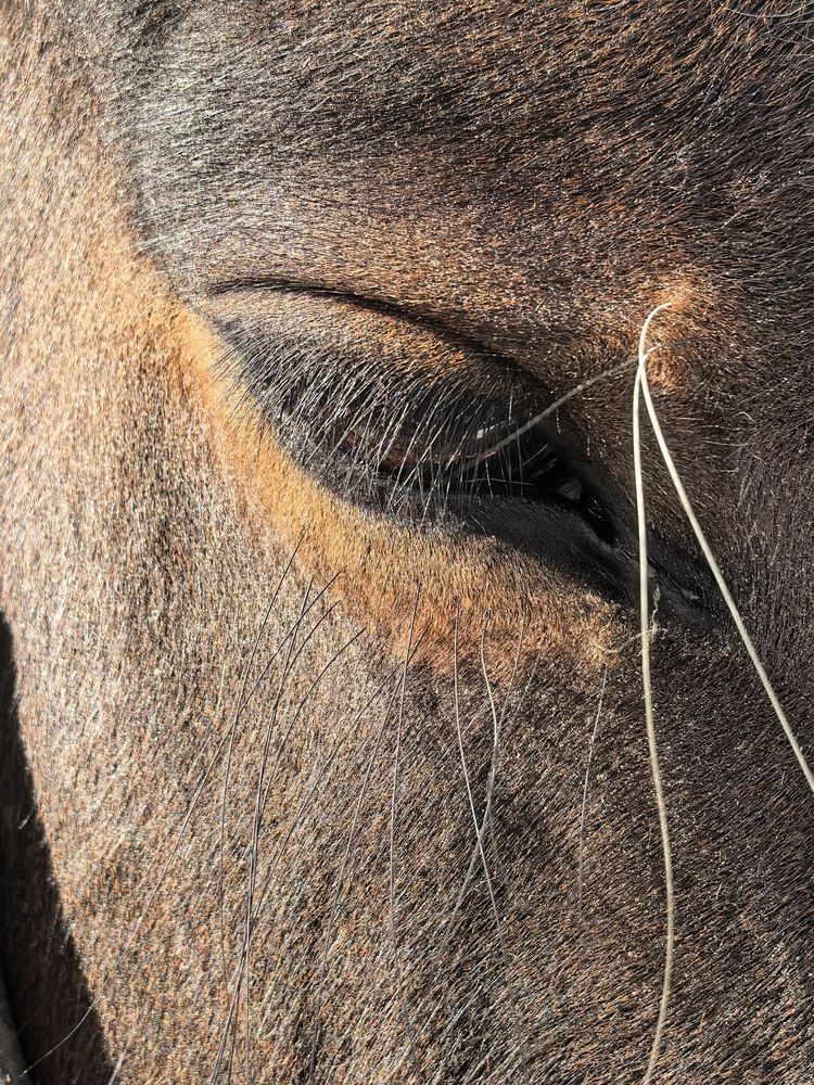 Фотография автора Елена Охапкина