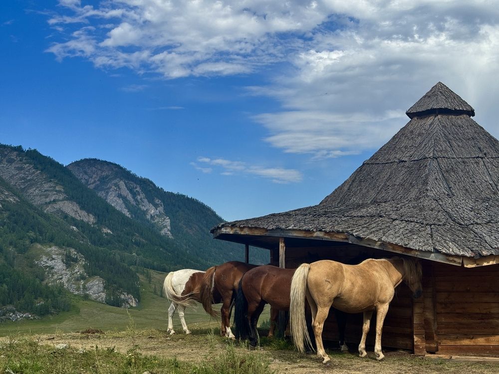 Photograph by Ксения Юртаева