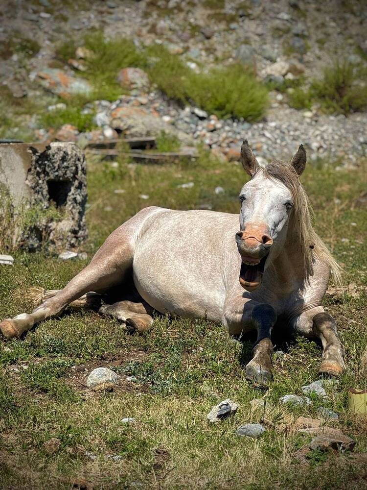 Photograph by Ксения Юртаева