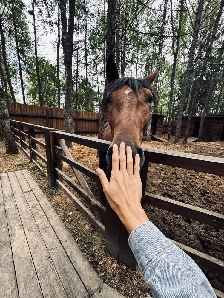 Photograph by Ксения Юртаева