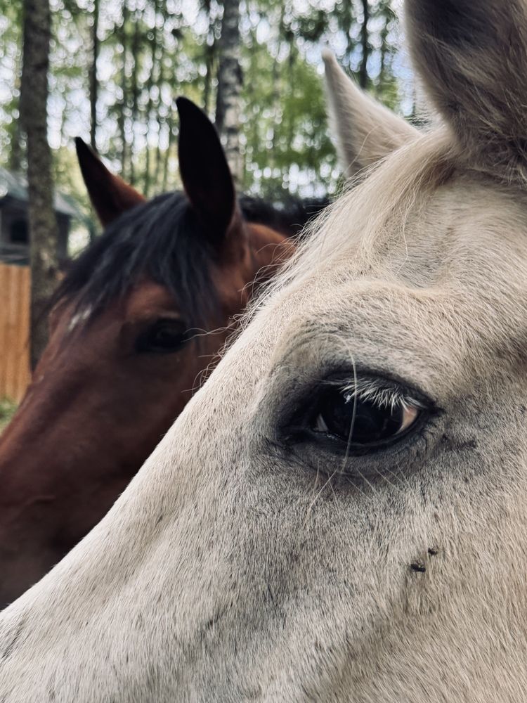 Photograph by Ксения Юртаева