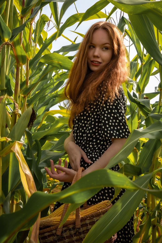 Photograph by Геннадий Коробов