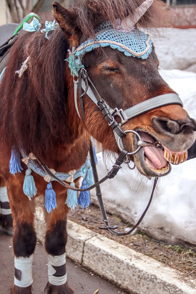 Photograph by Аня Проскурякова