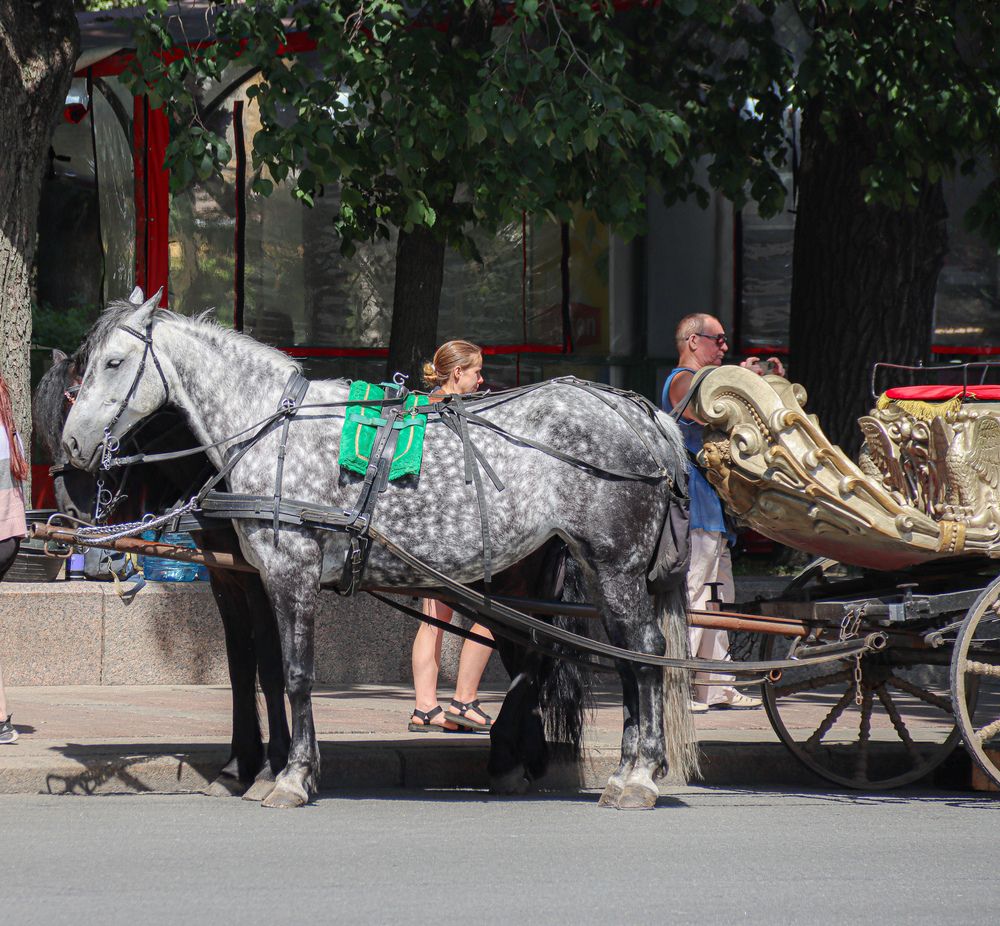 Photograph by Аня Проскурякова