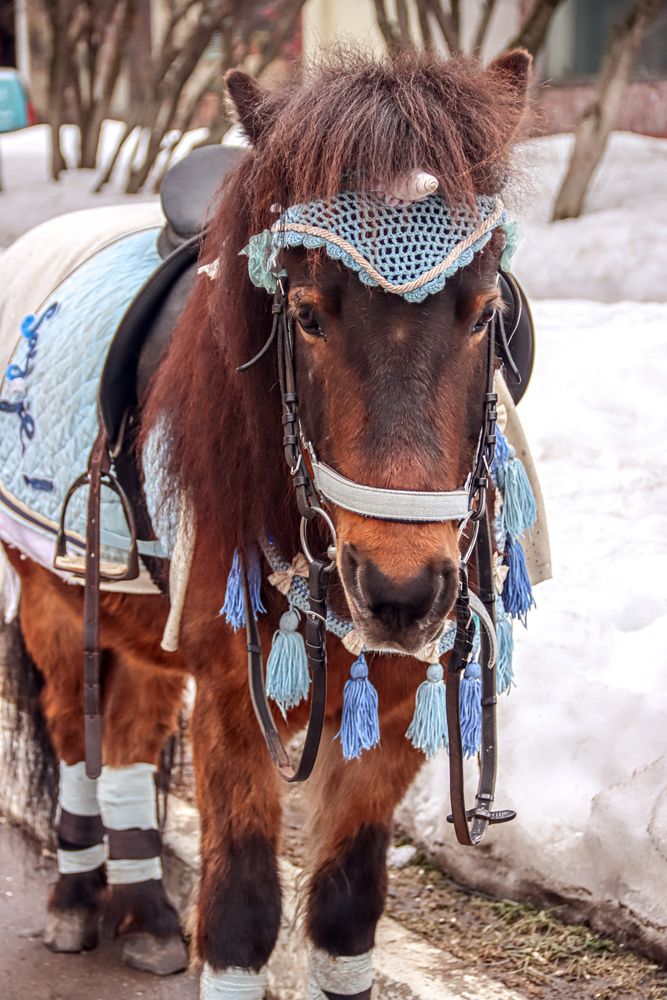 Photograph by Аня Проскурякова