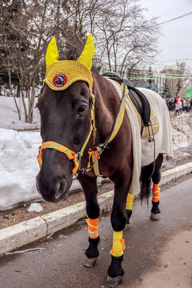 Photograph by Аня Проскурякова