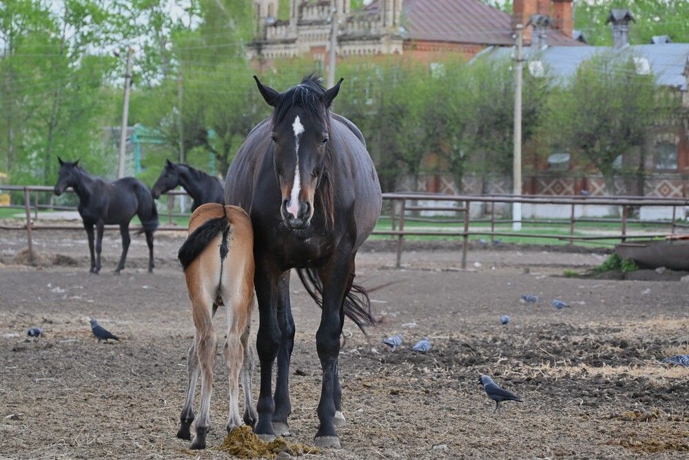 Фотография автора IRINA FILIPPOVA
