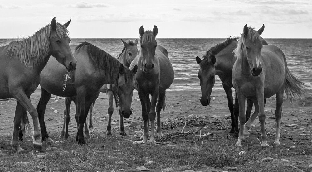 Фотография автора Dimitri Bakhtadze