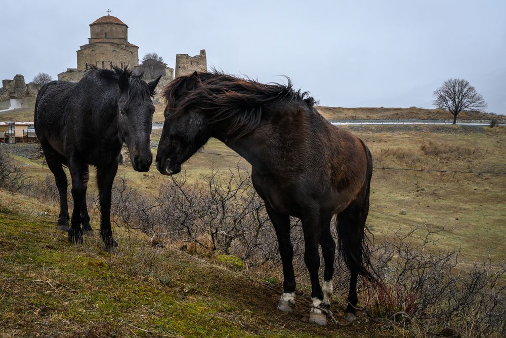 Фотография автора Dimitri Bakhtadze