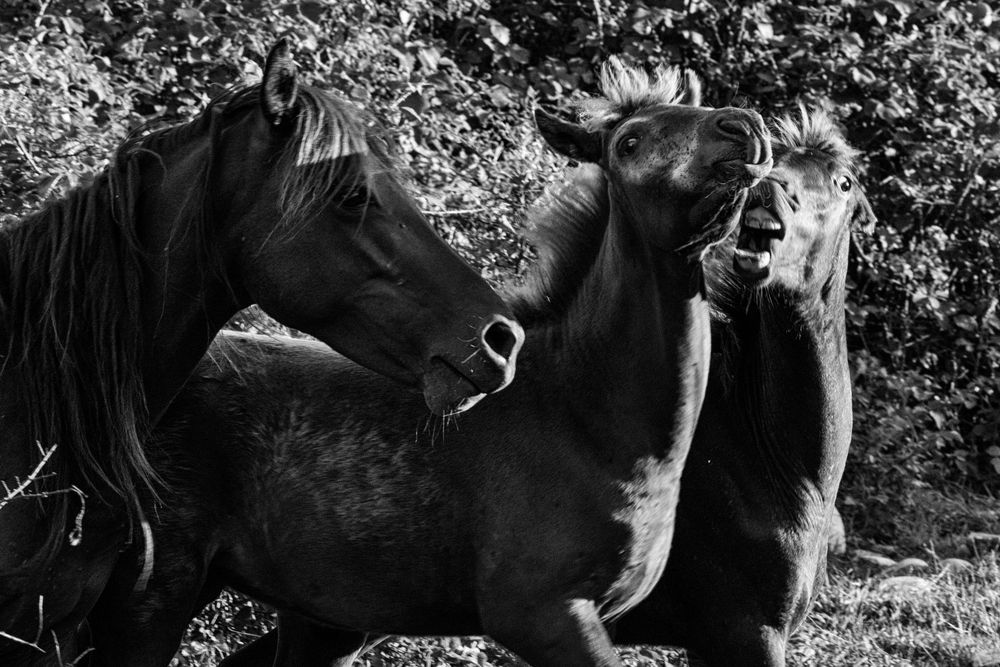 Фотография автора Dimitri Bakhtadze