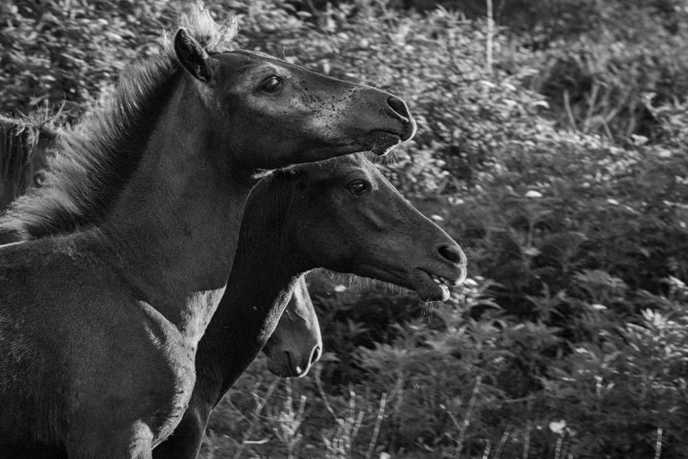 Фотография автора Dimitri Bakhtadze