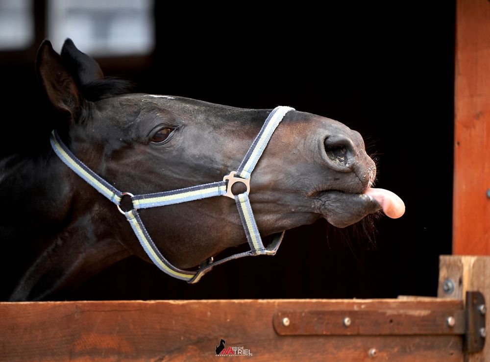 Фотография автора Андрей Некрашевич