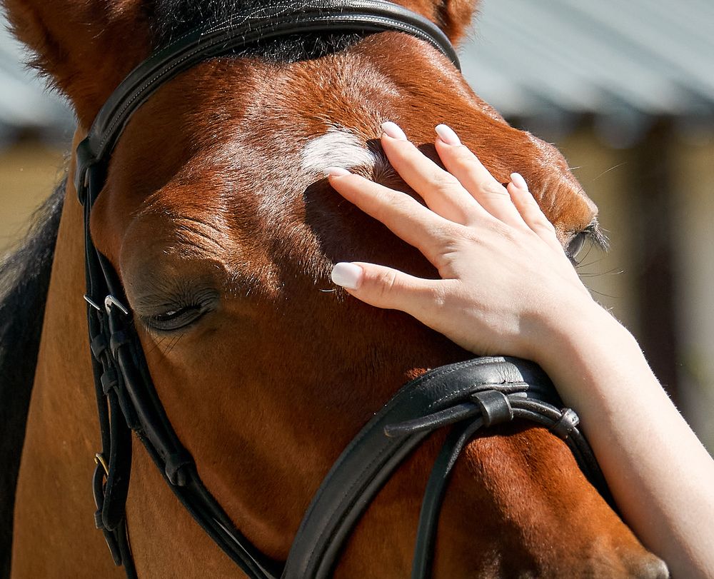 Фотография автора Андрей Некрашевич