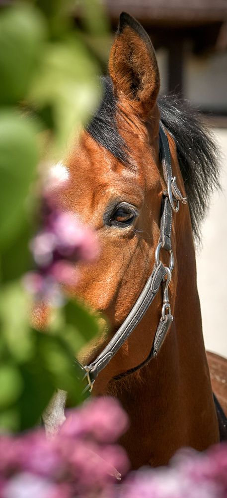 Фотография автора Андрей Некрашевич
