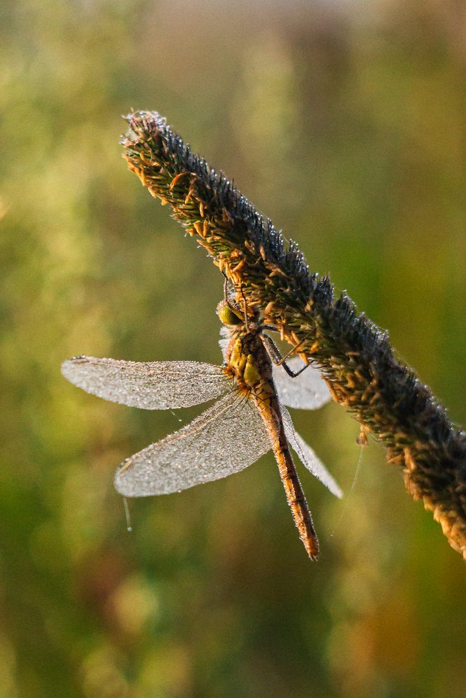 Photograph by Валерия Богатырева