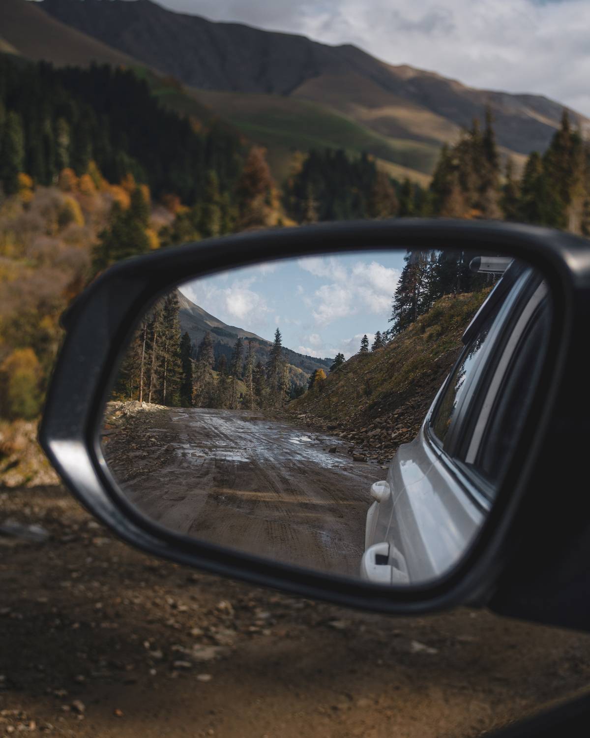 Фотография #12987424