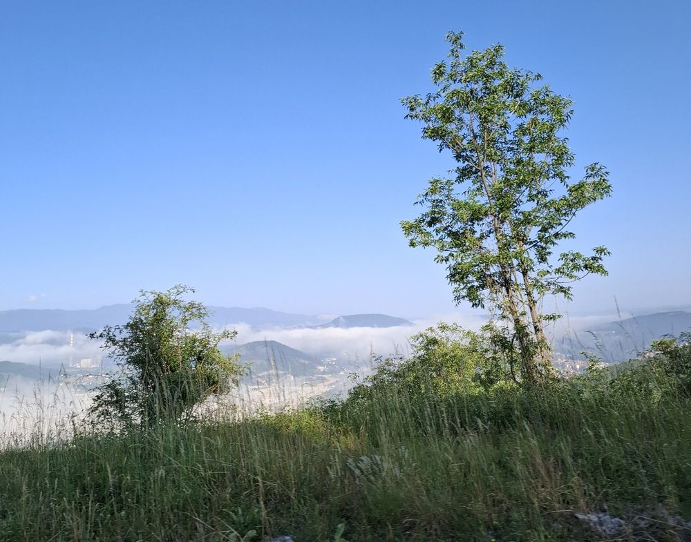 Photograph by Sanja Dabić