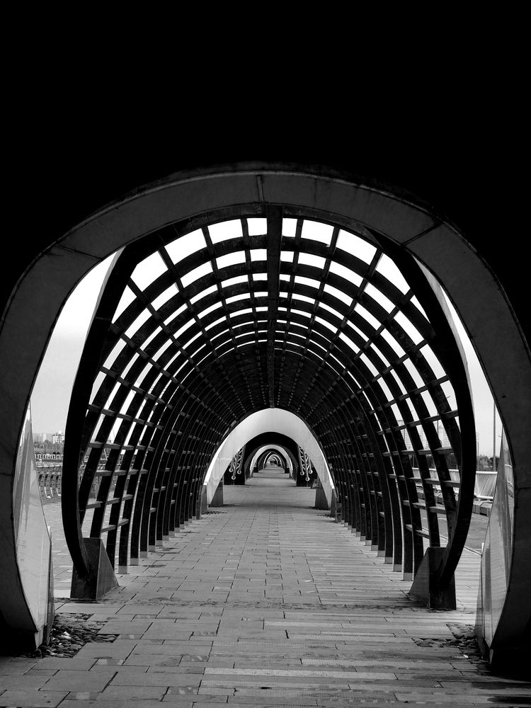 Фотография автора Abdolreza Aleagha