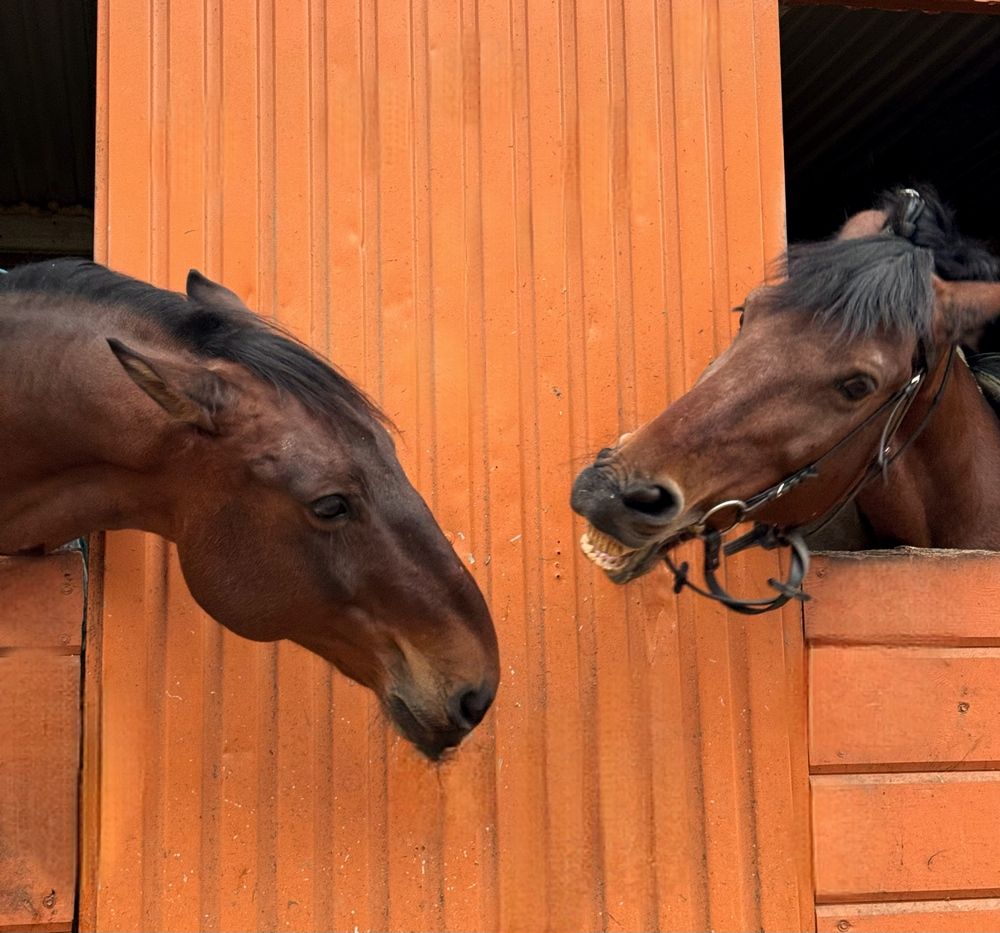 Фотография автора Галина Санчирова