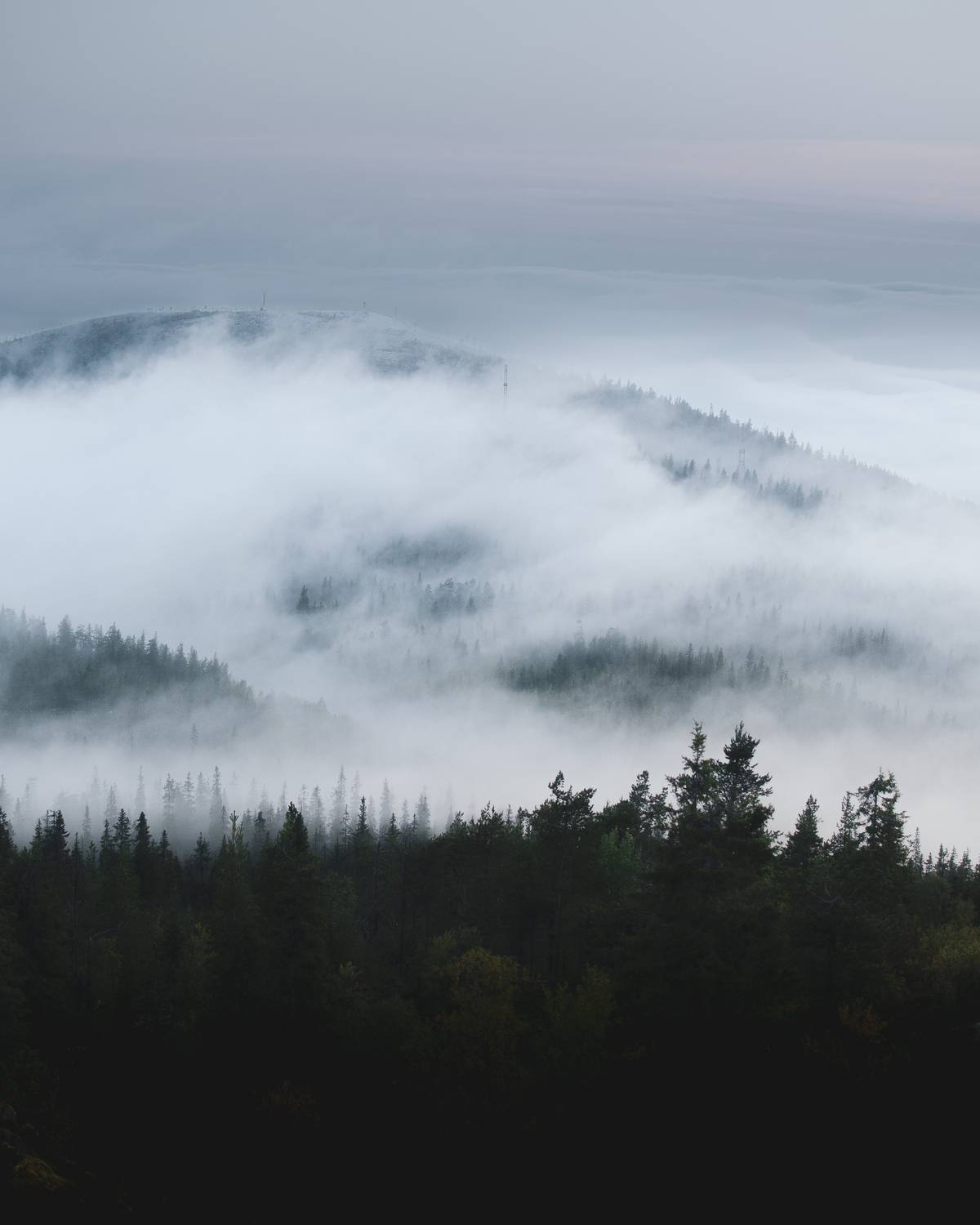 Фотография #12987449