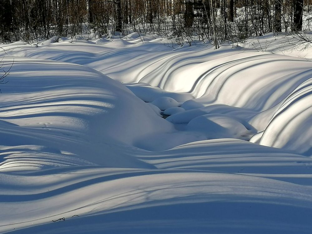 Мартовские тени