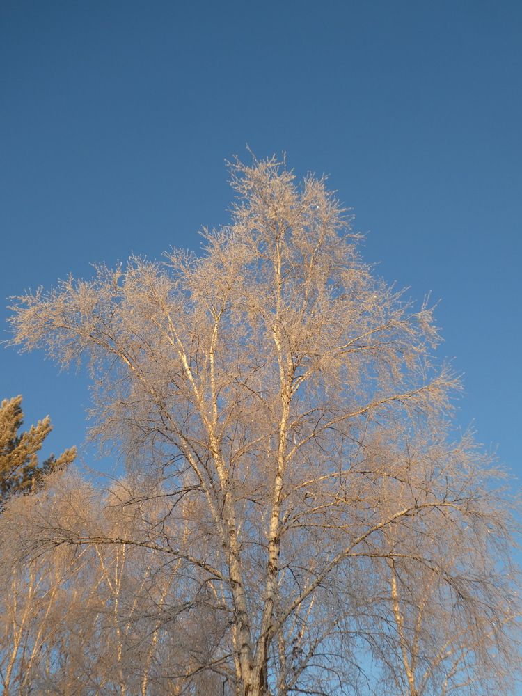 Photograph by Андрей Садчиков