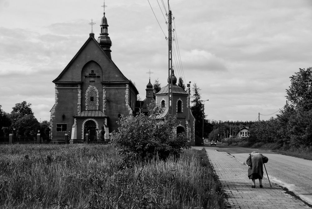 Фотография автора Tomek