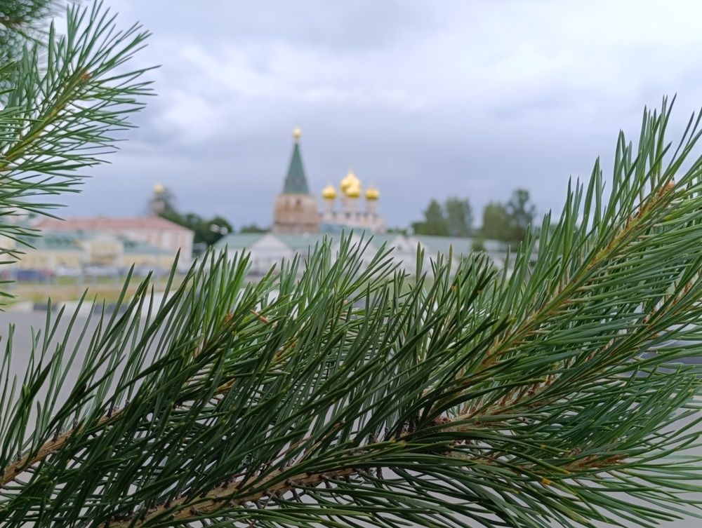 Photograph by Ирина Сидорова