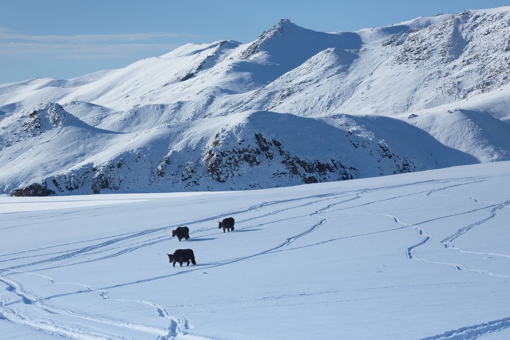 Photograph by Антон Селезнев